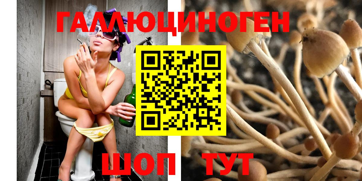 Галлюциногенные грибы Psilocybine cubensis Белебей